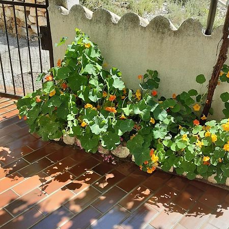 Apartman Legac Starigrad  Esterno foto