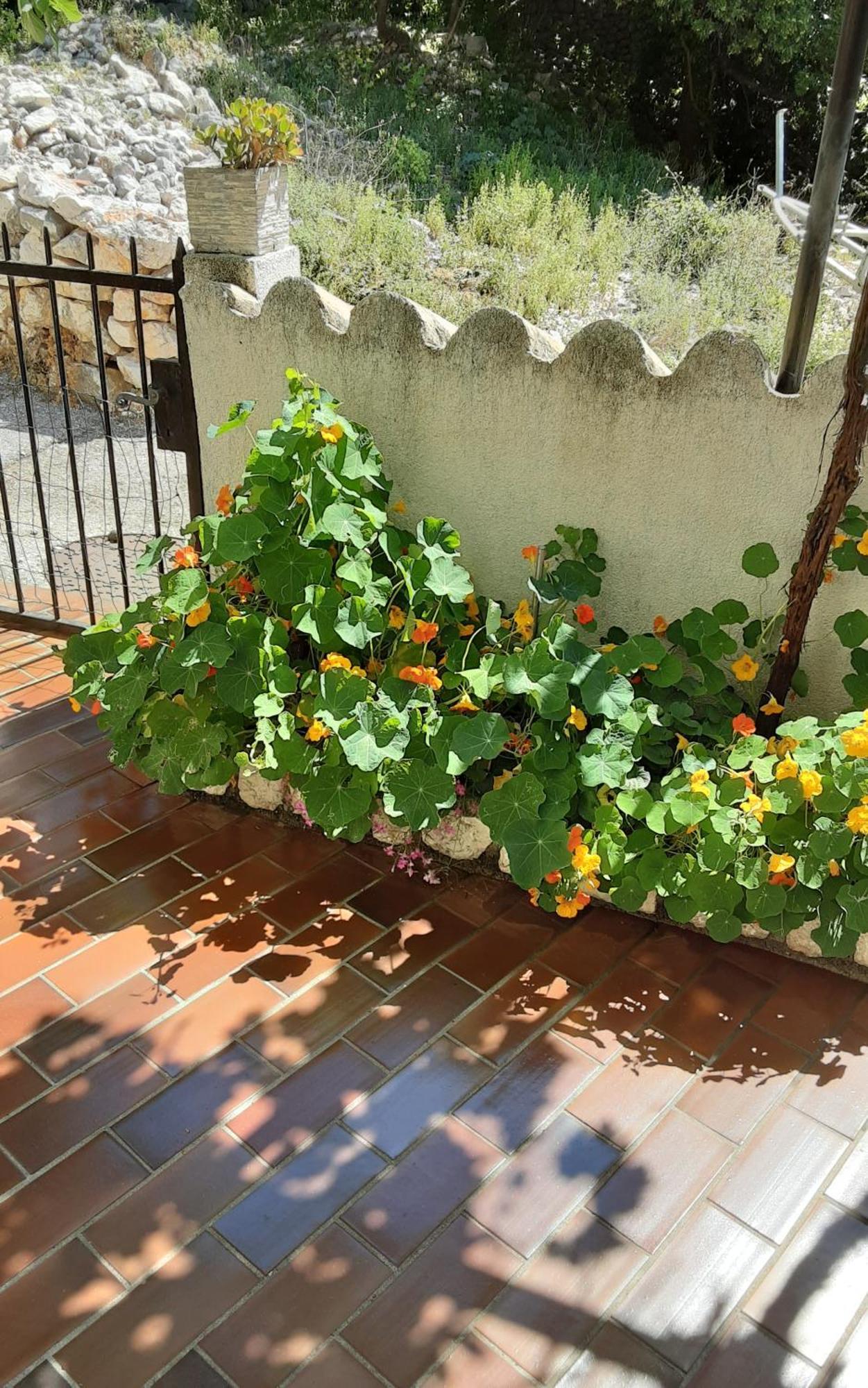 Apartman Legac Starigrad  Esterno foto