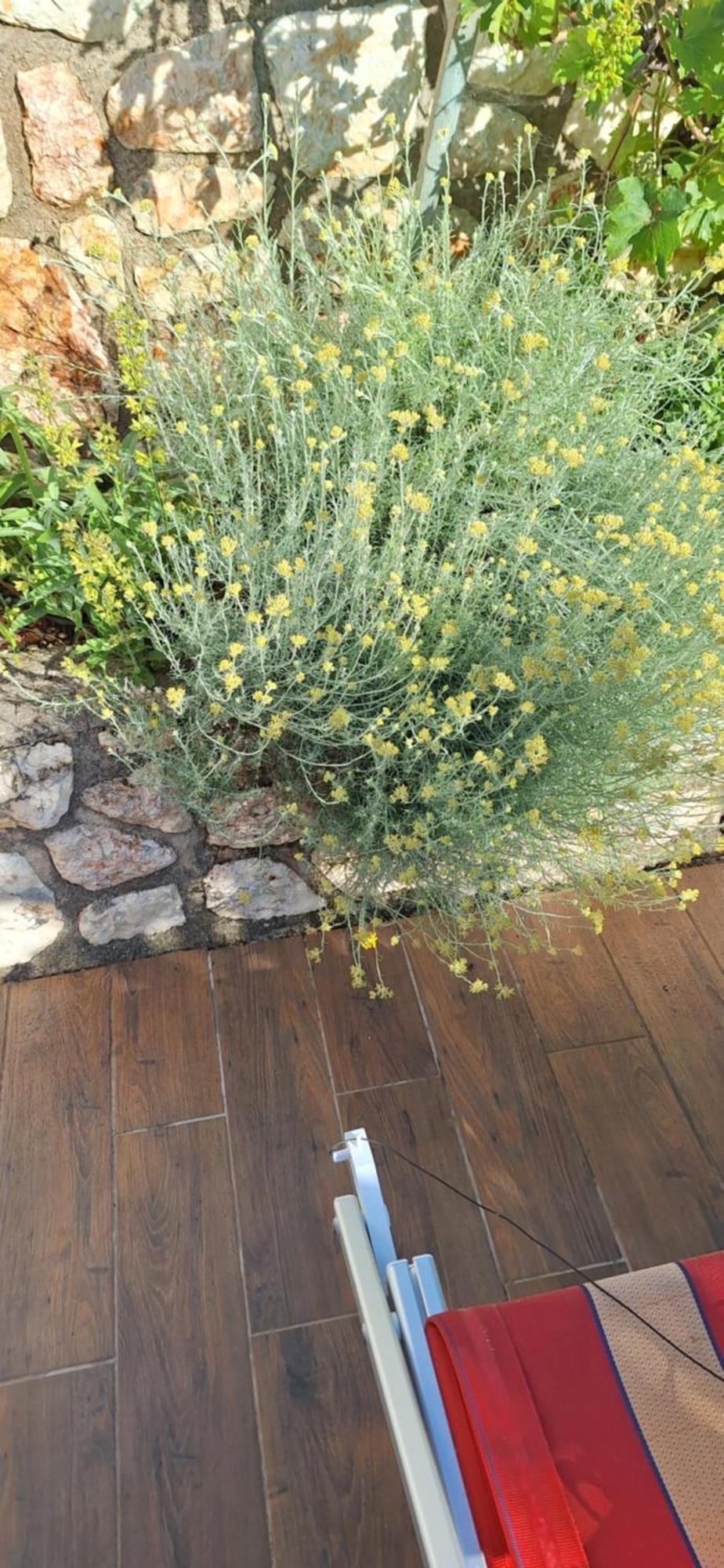 Apartman Legac Starigrad  Esterno foto
